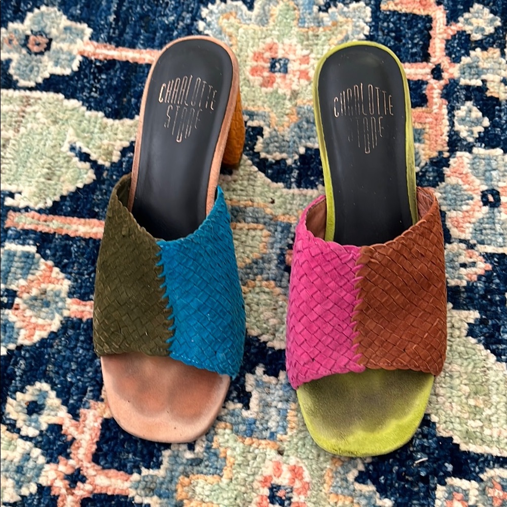 Charlotte Stone Blue and Pink Mules with Colorful Design